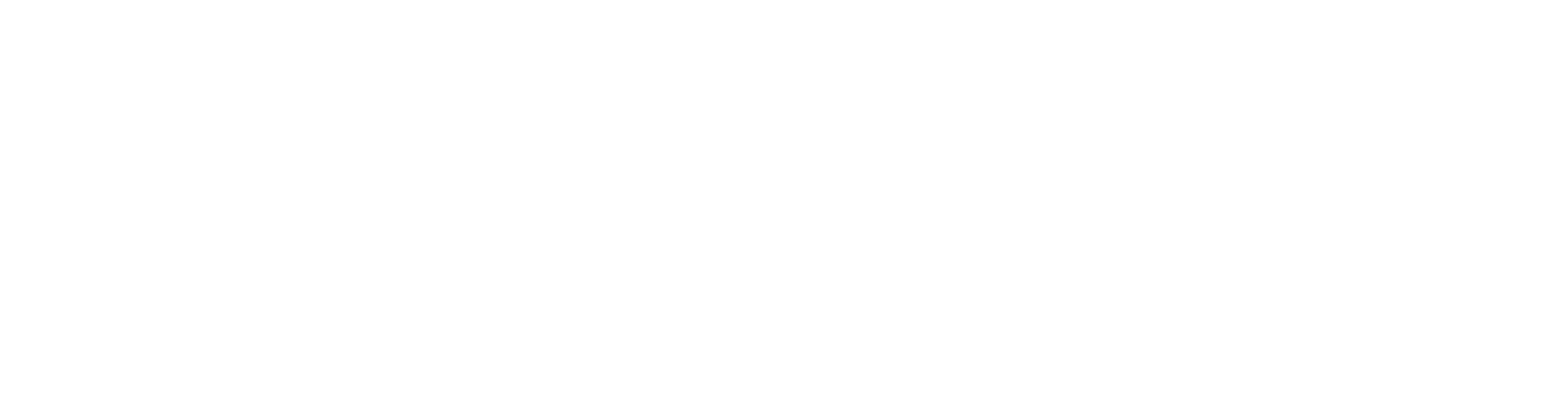 Nautilus
